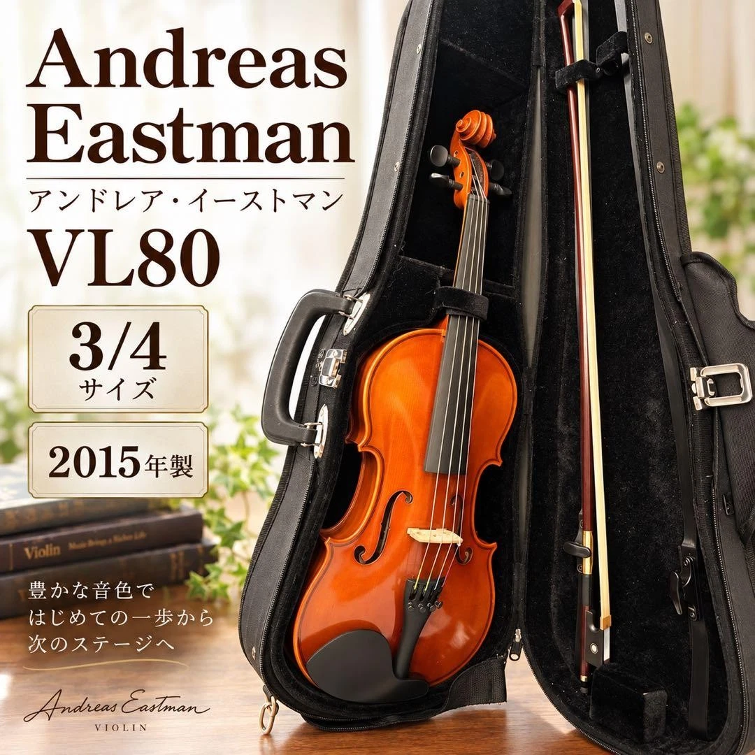 Eastman 3/4 Size Violins for sale | eBay