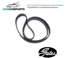 KEILRIEMEN KEILRIPPENRIEMEN 4PK788 GATES P NEU OE QUALITÄT