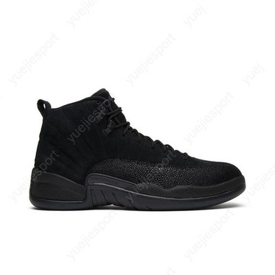Air Jordan 12 Retro Ovo 873864-032