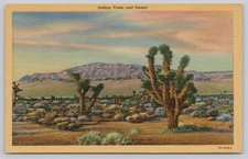 Vintage Linen Postcard Joshua Trees and Desert Southwest Scenic View
