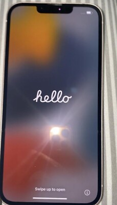 Apple iPhone 13 Pro Max - 128 GB - Gray (Unlocked)