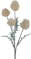 artplants KüNstlicher Zweig Edeldistel Krilmo, Vanille, 40Cm