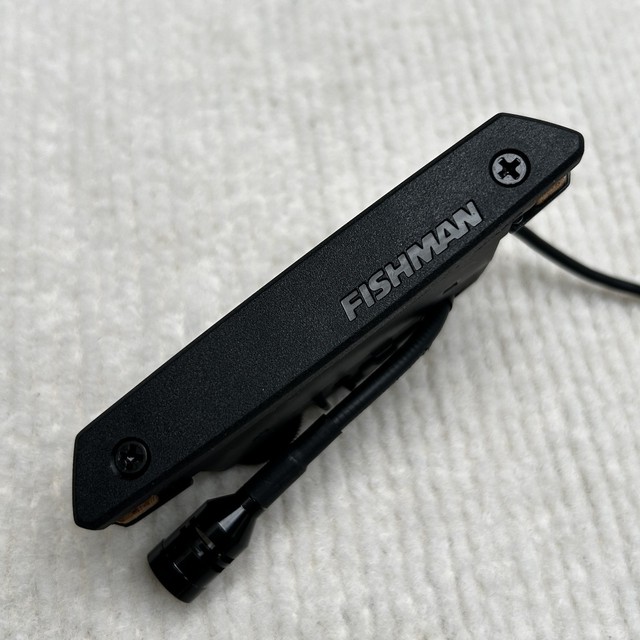 Fishman Rare Earth Mic Blend