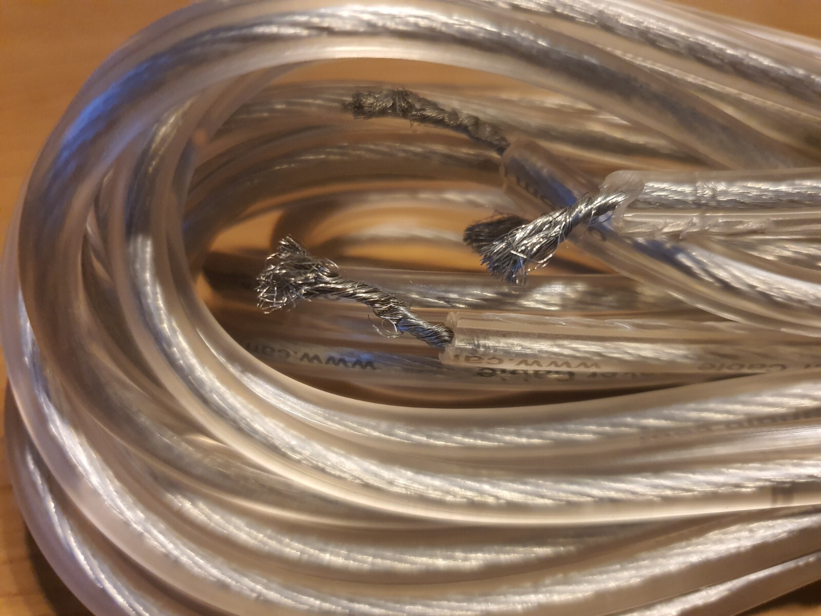 Cambridge Audio Ultra 100 Speaker Cables eBay