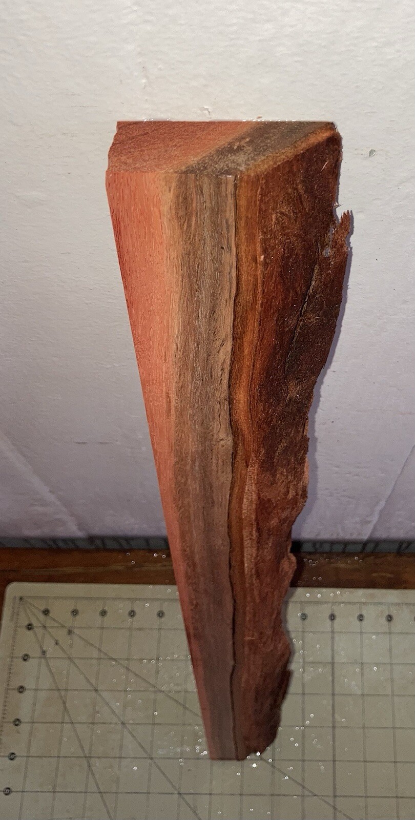 Picture 5 of 11