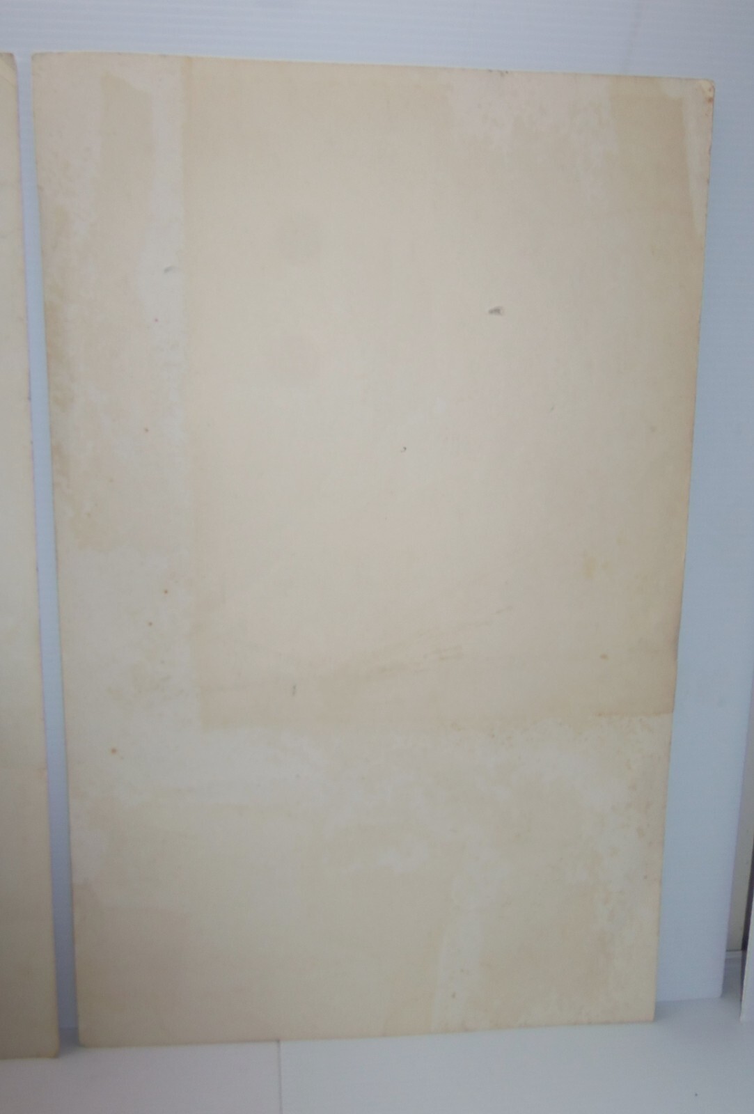 Foto 10 di 10