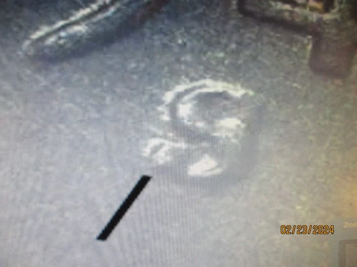 DEALER SPECIAL1949-S LINCOLN WHEAT CENT S/S GEM BU SPECIAL OUR CHOICE    XX1