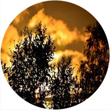 Slipmat Scratch Pad Felt for any 12" Turntable LP DJ Record Player SUNSET TREE