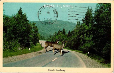 #ad #ad Postcard ROAD SCENE Meredith Michigan MI m 01 AL9952 $2.39