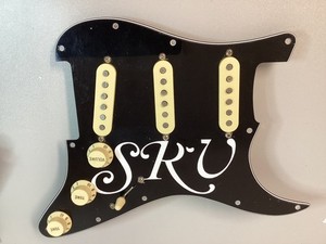 Fender Special Texas | eBay