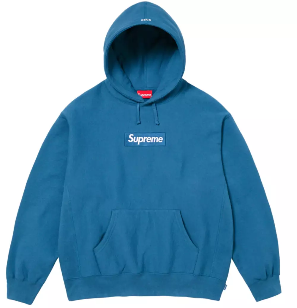 NEUF Supreme FW23 Box logo sweat à capuche taille S EN MAIN 100 % AUTHENTIQUE !!