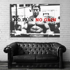 EB005 Arnold Schwarzenegger Fitness Gym Exercise Motivation Poster and Canvas