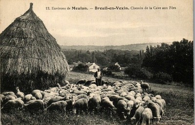 78 BREUIL EN VEXIN - chemin de la cave aux fees