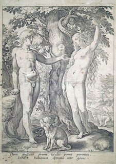 Copperplate engraving Adam and Eve B. Spranger/ H. Goltzius 1585 New Hollstein 335