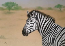Pastel on Paper, Zebra In The Savannah, Signed