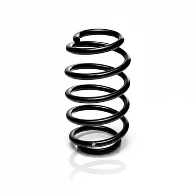 Ressort de suspension Essieu arrière R23022 EIBACH pour VW SEAT - Photo 1/4