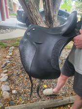 DP Saddlery Black S3 EL Campo.   Beautiful