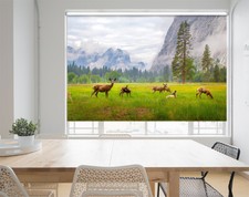 Deer at Yosemite National Park Printed Picture Window Photo Roller Blind