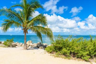 Wandbild: Paradise Beach im Fort Zachary Taylor Park, Key West. State Park [...]
