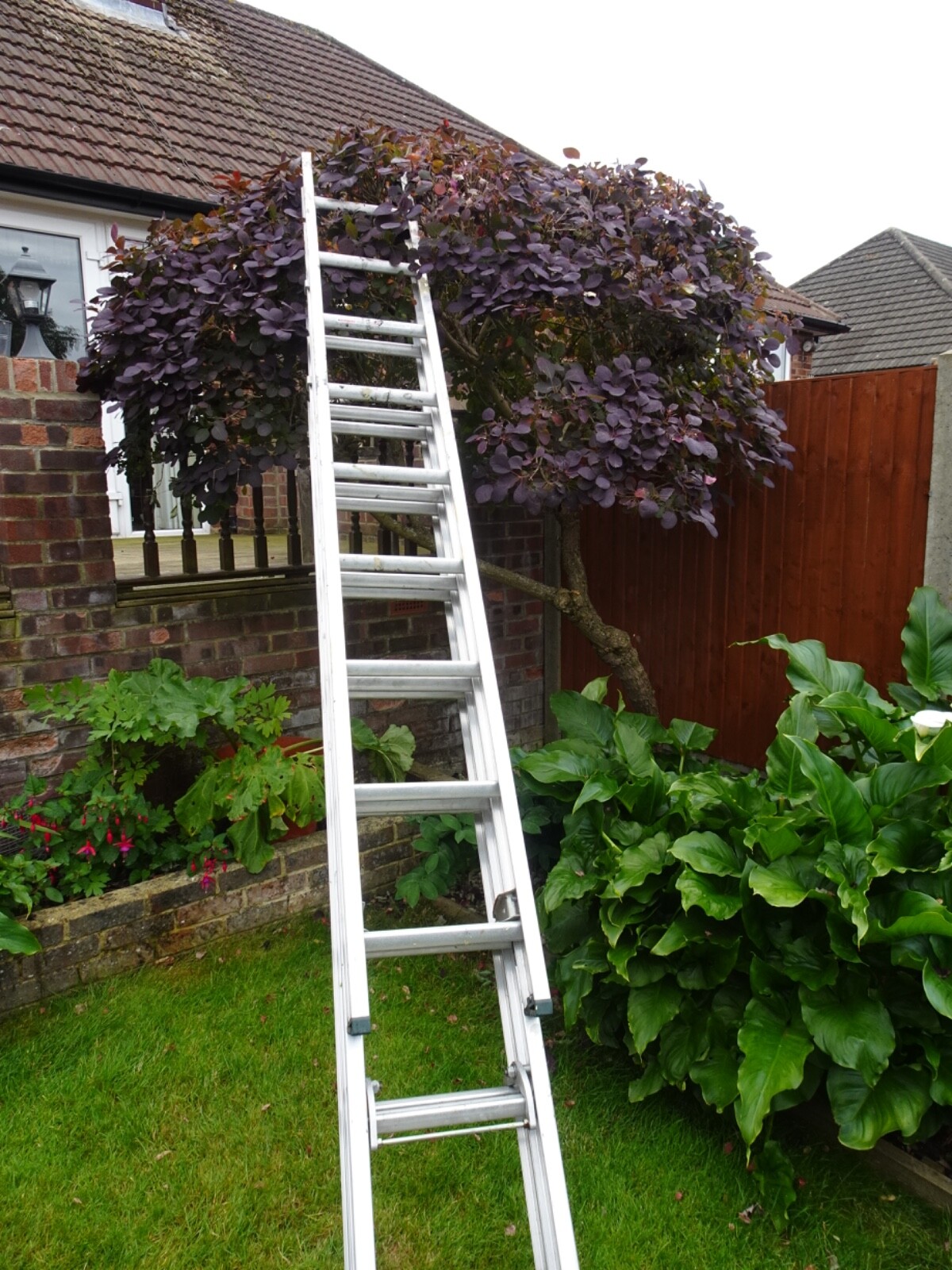 aluminium triple extension ladders eBay