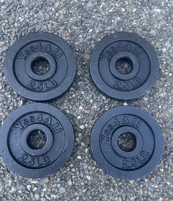 Yes4All 10 LB Weight Plates Pair Cast Iron 1 Inch Standard Barbell 20 Lbs