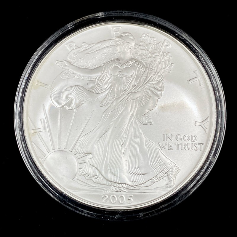 1995 $1 American Silver Eagle 1oz .999 Fine Silver Uncirculated In Capsule
