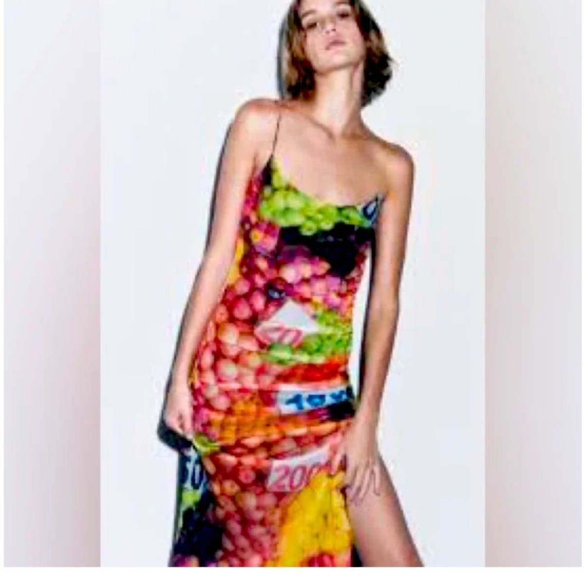 sara Zara Fruit Stand Mesh Maxi Slip Dress New W Tags Size S | eBay