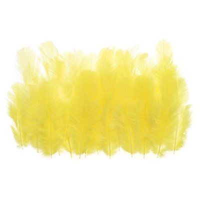 300Pcs 1.5-3 Inch Saddle Hackle Rooster Feather Bulk Natural Feathers Yellow