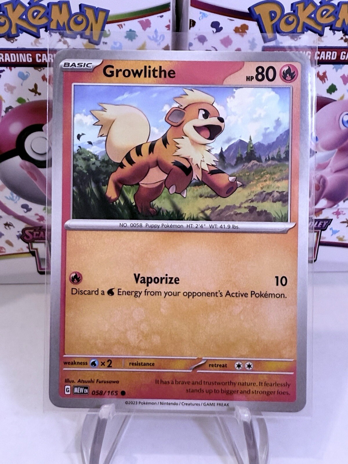 Growlithe 058/165 | SV - MEW en: 151 | Common - English | Pokemon NM