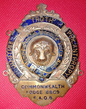RAOB Buffaloes BRASS & BLUE ENAMEL MEDAL - COMMONWEALTH LODGE 8809 - 9cm x 7cm.