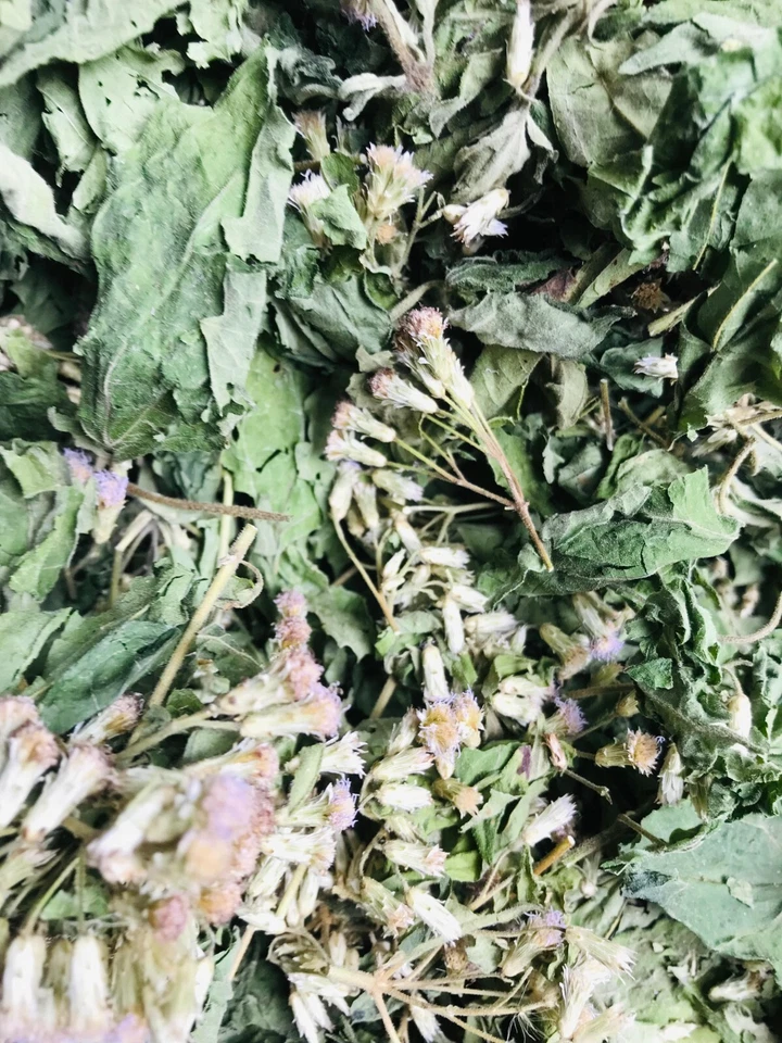 Hierba Sueño Mexicano Calea Zacatechichi Sueño Lúcido Escogido a Mano Hojas Orgánicas Té Foto 4 de 4