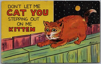 Cat Cartoon Comic Humor Postcard S78