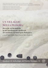 Un Villaggio nella Pianura. Ricerche Archeologiche in un Insediamento Medievale 