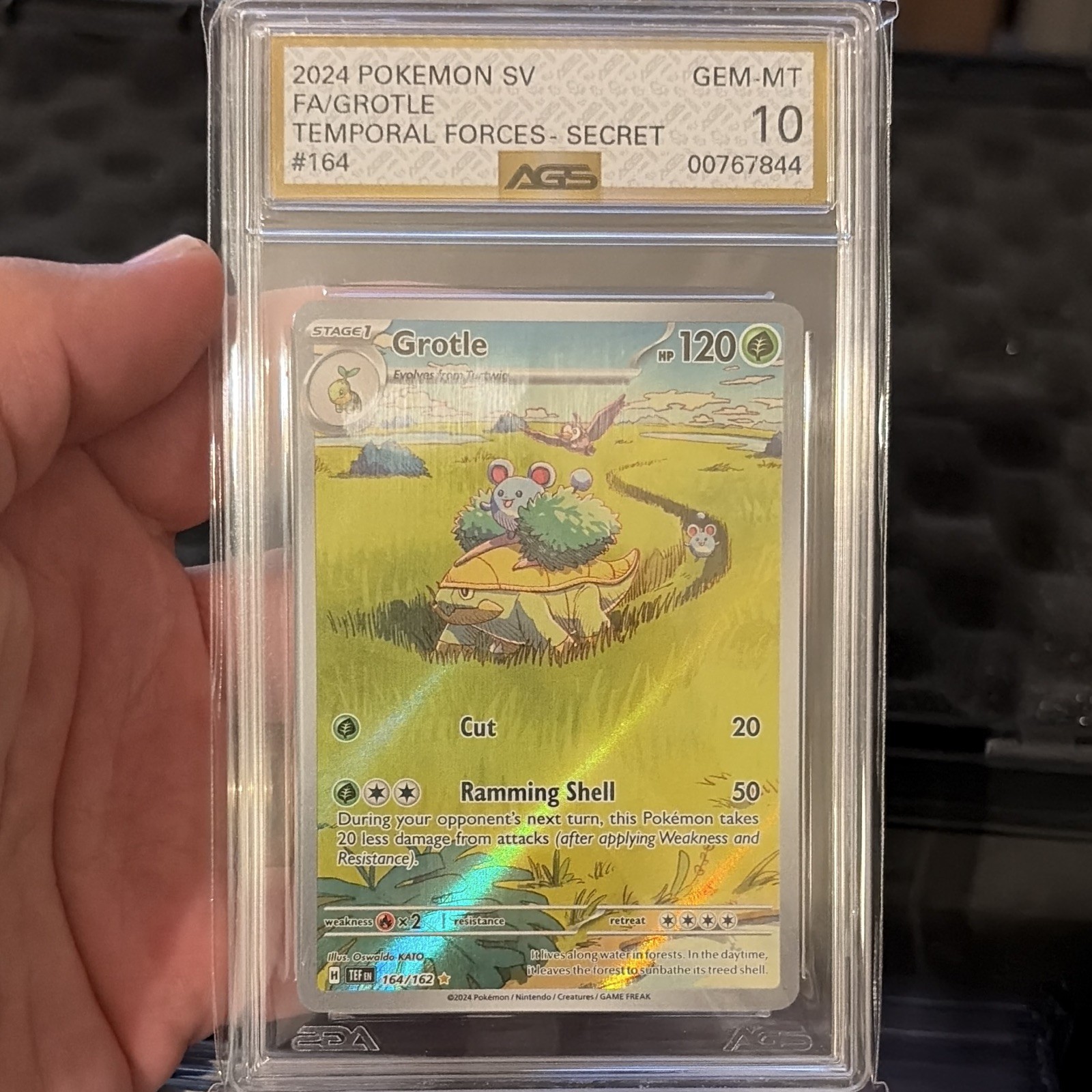 Pokémon TCG Grotle 164/162 SV05 Temporal Forces Secret Rare Holo 2024 AGS 10