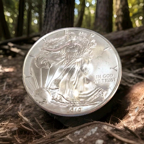 2010  SILVER EAGLE- PRICES ARE GOING UP DONT WAIT! SAVE $$ BUY THIS ONE $AVE NOW