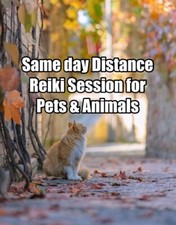 Distance Animaux Reiki Séance de Guérison Jour Même Reiki Master Val