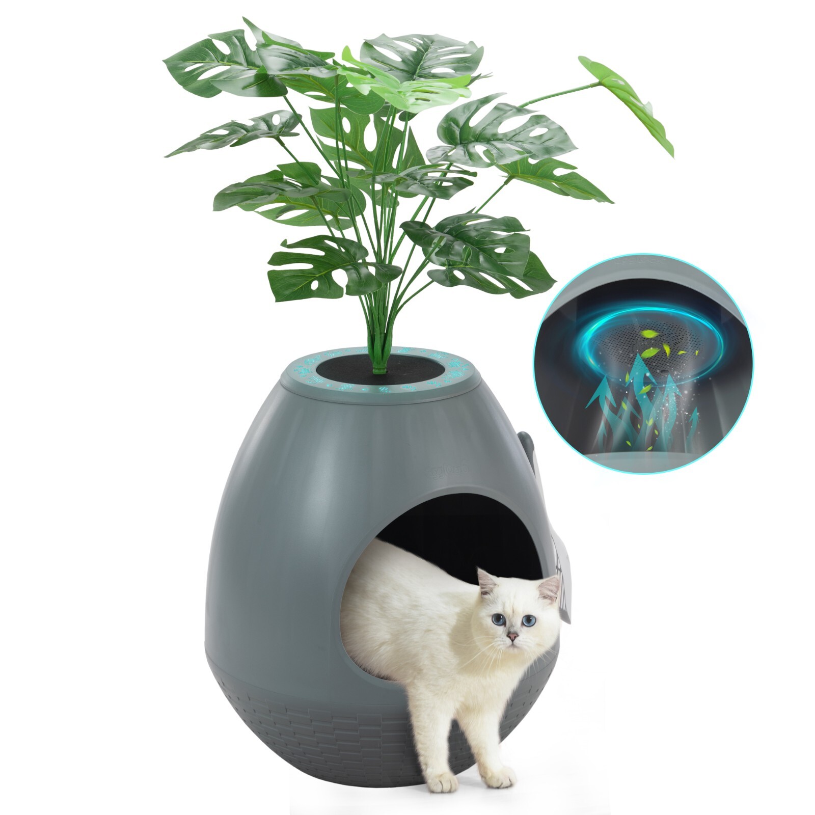 With Odor Removal System Semi-enclosed
