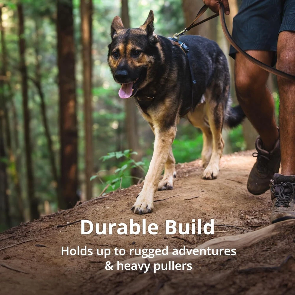 Dog Harness Reflective and Padded No Pull Harness for Training and Everyday