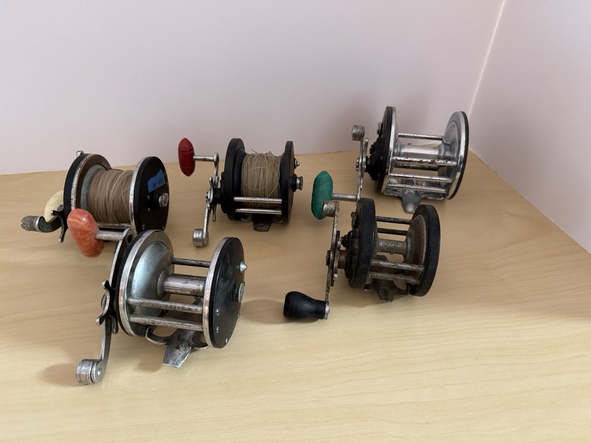 budget carp fishing reels Best Budget Carp Reels 2026