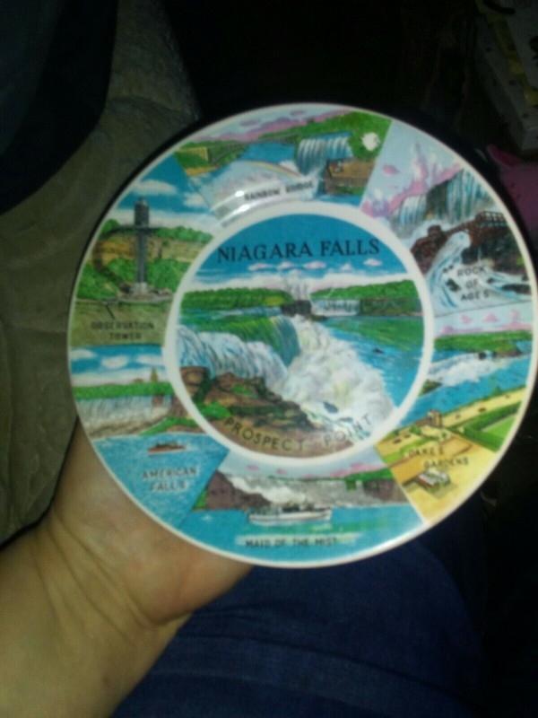 Vintage Niagara Falls Souvenir Collector Plate Prospect Point 7 In