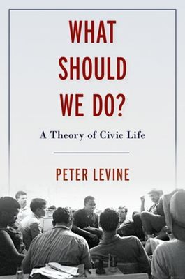 What Should We Do? : A Theory of Civic Life Hardcover Peter Levin