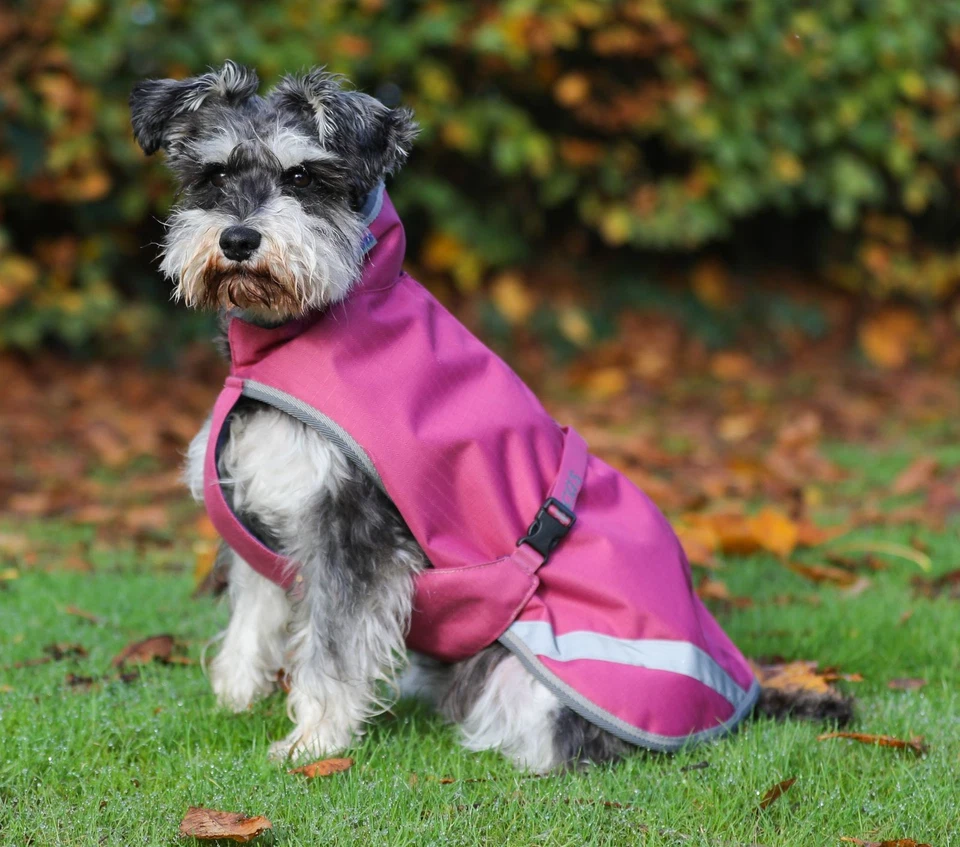 Bucas Hundemantel Freedom DOG RUG raspberry Hundedecke 300 g Füllung HW 2025