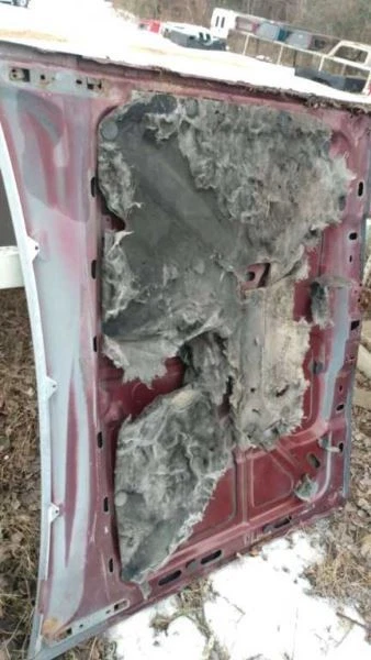 Hood Fits 79-85 GRAND MARQUIS 316460 Foto 3 de 4