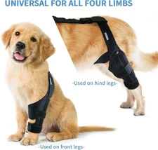 Dog Knee Brace for Torn ACL, Hind and Rear Leg Support, Ligament Injury & Joint