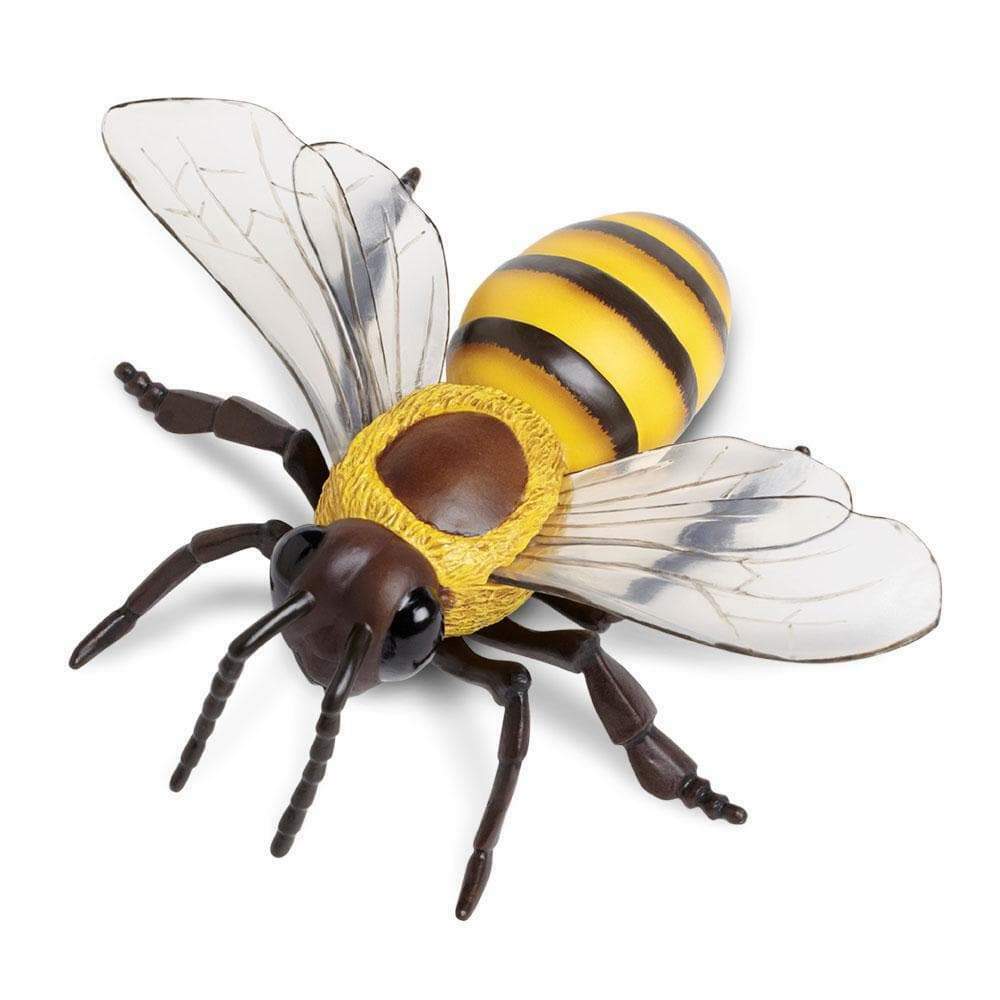 Safari  Incredible Creatures ( インクレディブル クリーチャーズ ) ウミガメ ベビー 268129 Vintage 2006 Safari Ltd Bumblebee Animal Incredible