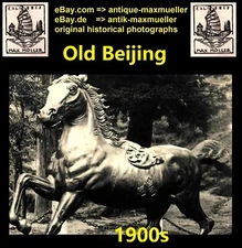 China Beijing Peking Imperial Bronze Horse  orig. photo c1900s good size