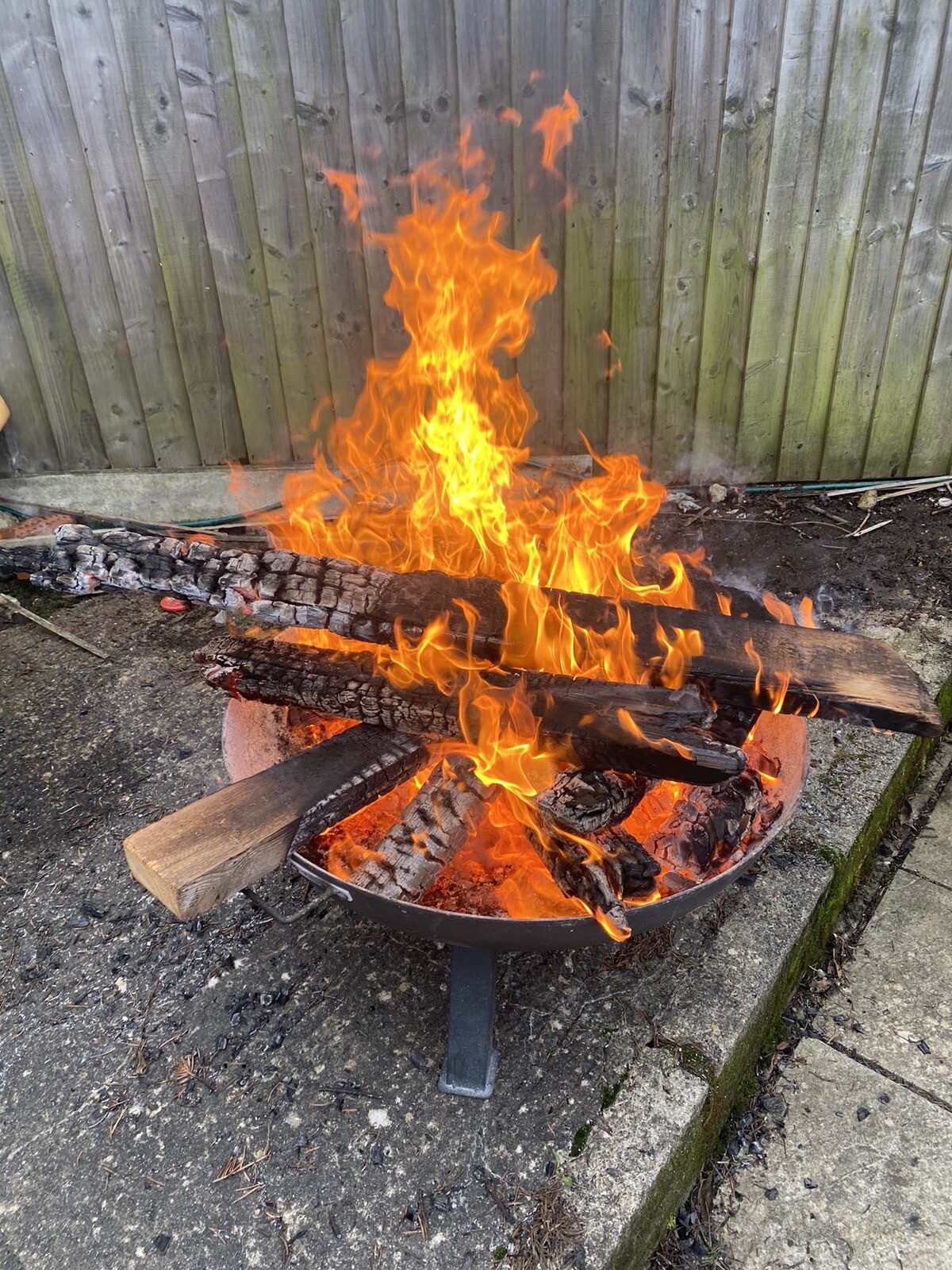 Timber Firewood — Untreated Pine (safe to burn) eBay