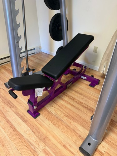 Hammer Strength / Life Fitness Adjustable Dumbbell Bench - SHIPPING NOT INCLUDED