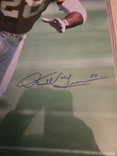 darrell green 16x20 Autograph Photograph Jsa Certificate