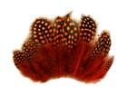 Picture 6 of 10